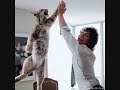 funny random stuff