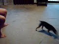 BUBBLES!!!!
