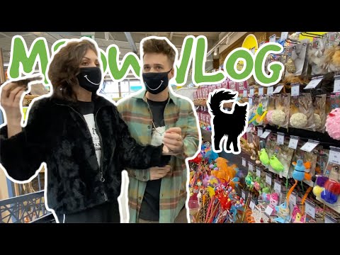 NAKUPUJEME VĚCI PRO NAŠEHO KOCOURA & haul, unboxing
