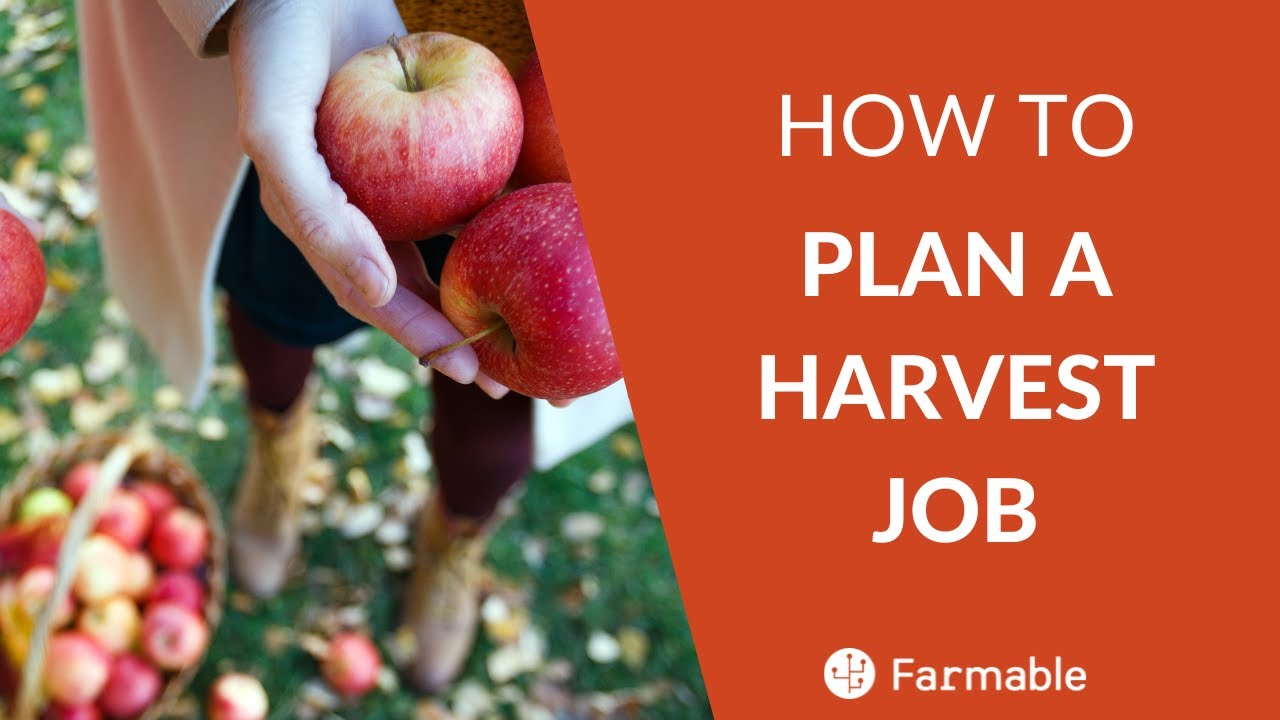 Plan a Harvest Job with Farmable