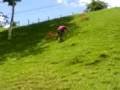 videos de Janilson pagando promessa..