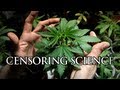 Pot and Shrooms Being Outlawed Is C&NS*RING SCIENCE!