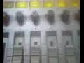 K-JEE〜THE SOUND OF MUSIC LOOPを使ったロングミックス