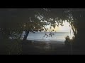 Bajan Sunset