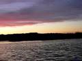videos de purple martin roost #2 Nimisilia Reservoir