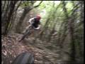 Nino - Frischi Trail - Mountain Bike