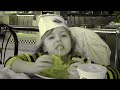 kids_steak_shake