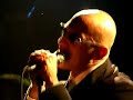 \"Mr. Make Believe\" - G.Palma & the Bluebeaters