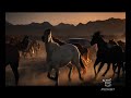 spot-bmw-x6-oltre-il-coup.html