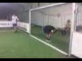 hackenbroich hackenbroich