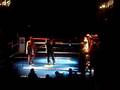 videos de Francis Menjibar Campeon del mundo 2008 kickBoxing