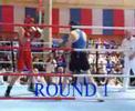 McGUIGAN V KNIGHTON RD 1