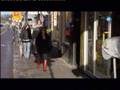 videos de Sex Sells & McSex