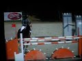 jivaro-iii-etalon-poney-connemara-1m35-en-grand-prix-cheval.html