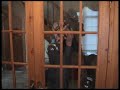 Salem Part 4 Salem Part 4