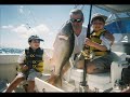 chubasco charters great catches and great memories