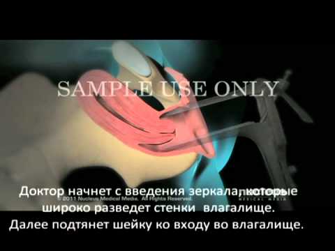 Вологодская областная больница пошехонское шоссе 27