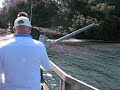 Paaskes Golf Kanon