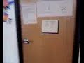 WORLDS WORST BEAR ATTACK CAUGHT ON TAPE IN A SCHOOL!!