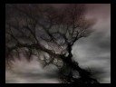 Surreal Backgrounds 8