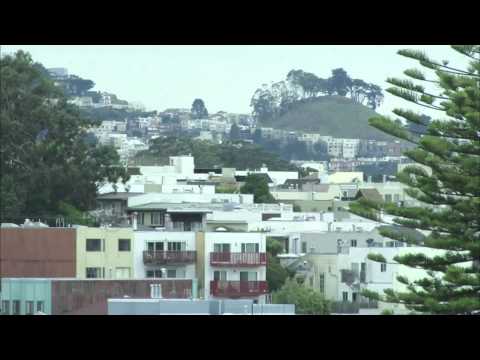 how to transplant manzanita