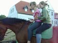 Jak zej?? z tego konia ...... hehe Jak zej?? z tego konia ...... hehe