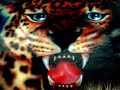 Xedos Tigre Areograf BQ