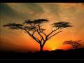 AWESOME GOD
