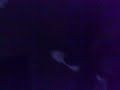 00-44-00,01012009053,2009-01-01