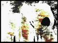 videos de Visions from Elsewhere