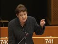 prüm treaty and data protection
