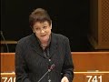 prüm treaty and data protection
