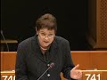 prüm treaty and data protection