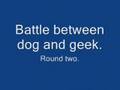 Dog attack