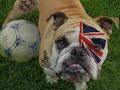 Come On England