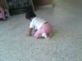 videos de bebe bailando