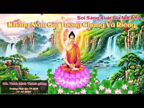 Soi Sáng Xuất Gia NIKAYA – Không Nắm Giữ Tướng Chung Và Riêng