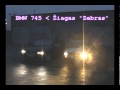 Zigulys \"Zebras\"