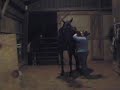 Saddling 1 Saddling 1