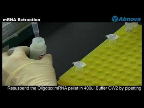 how to isolate specific mrna