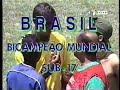 enio santos de oliveira  zagueiro 85 seleção brasileira 