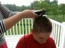 Trent Gets a Buzz Cut
