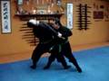 Bujinkan 3