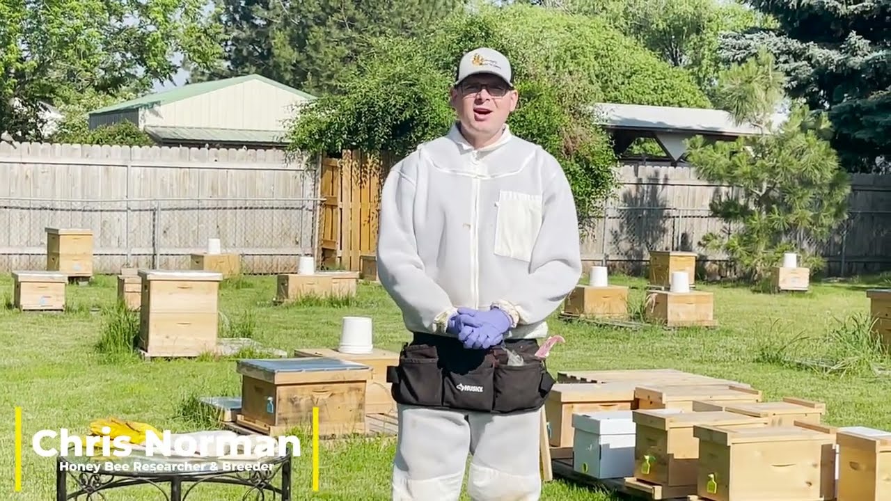 Episode 9: Protective Beekeeping Equipment