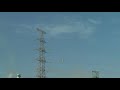 3D RC Ornithopter Buteo F4 Second Flight
