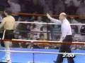 Pernell Whitaker vs. Greg Haugen