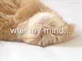 essa m�sica � dezzzzzzz...
;p