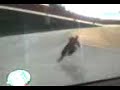 GTA SA Ciclyng Skills