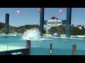 videos de Mar del Plata Aquarium