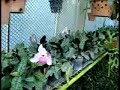 test test